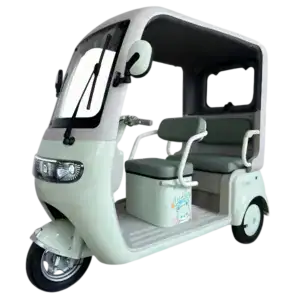 Electric rickshaw designed for eco-friendly urban transportation and short-distance travel. Features a compact, modern design with comfortable seating, ideal for city commuting and delivery services.